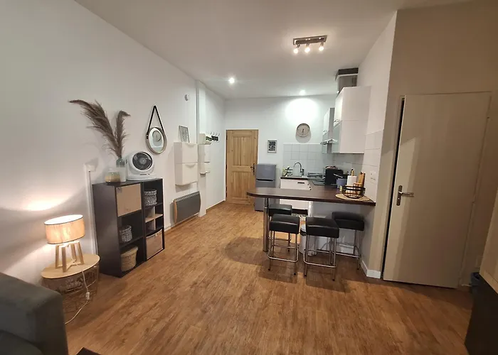 Elegant Renove, Coeur Pieton * אוויאן-לה-באן