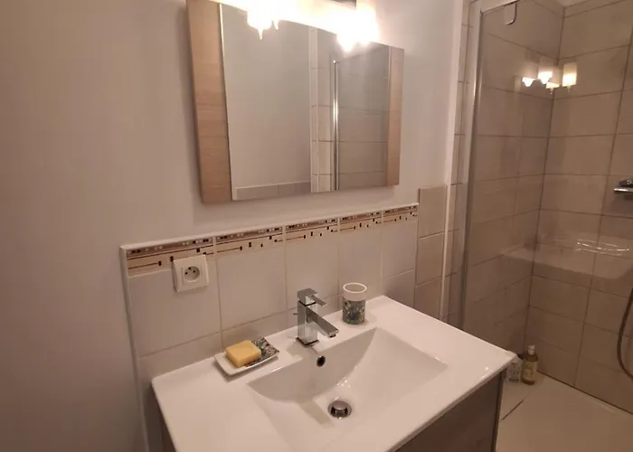 Elegant Renove, Coeur Pieton דירה