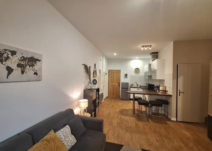 Elegant Renove, Coeur Pieton דירה *