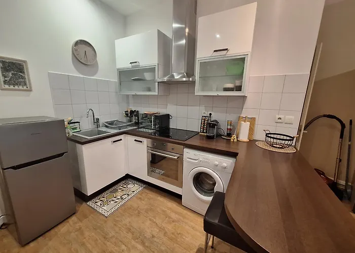 Elegant Renove, Coeur Pieton דירה *